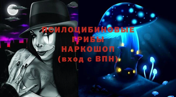 метадон Богданович