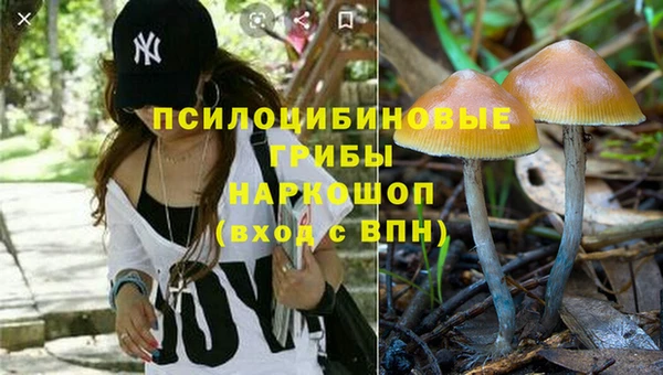 прущие грибы Богородск