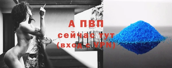 метадон Богданович