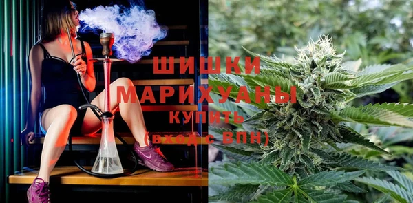 прущие грибы Богородск