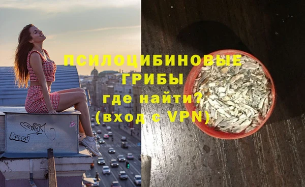 прущие грибы Богородск