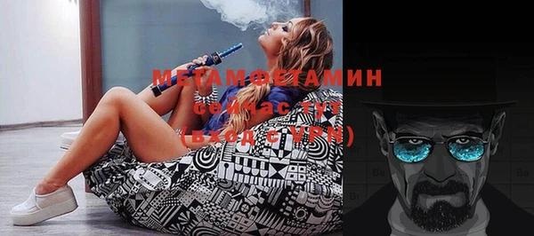 метадон Богданович