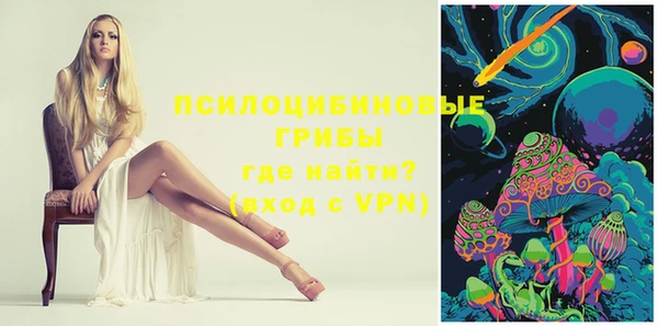 2c-b Белокуриха