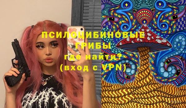 метадон Богданович