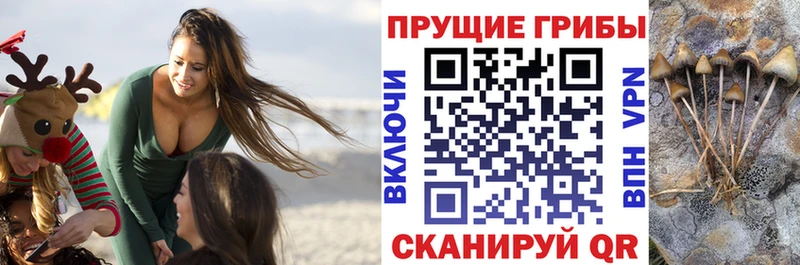 ОМГ ОМГ сайт  Бирюсинск  Галлюциногенные грибы ЛСД 